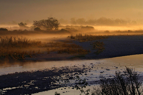 Jim Corbett National Park